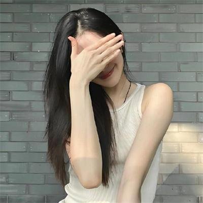 夏绿蒂的网